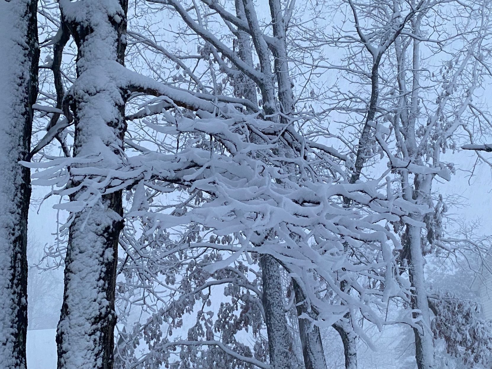 Snow